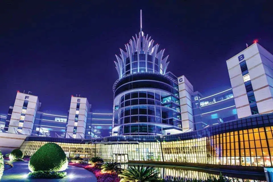Dubai Silicon Oasis DSO